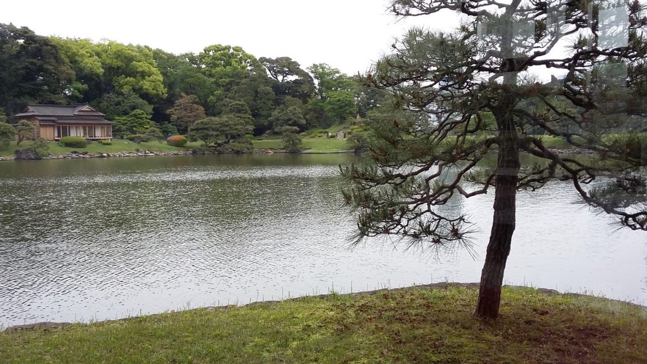 Tokyo_Hamarikyu_Lake_TeaVoyages
