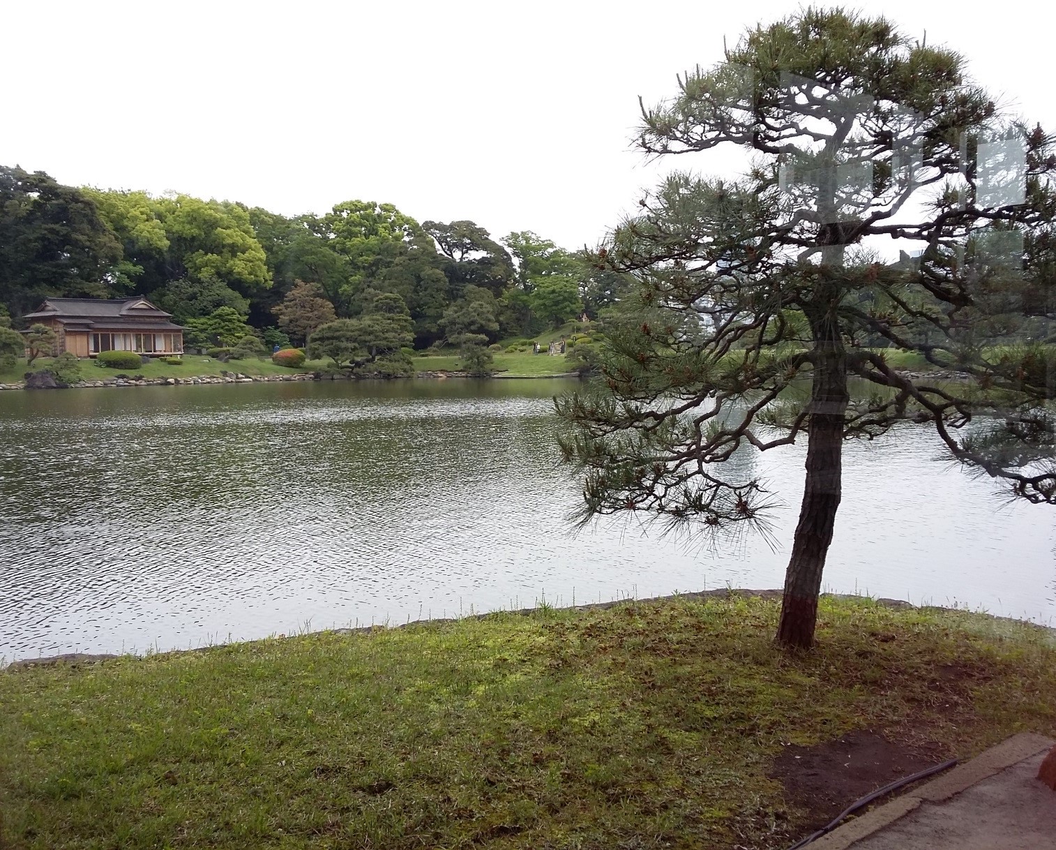 Tokyo_Hamarikyu_Lake_TeaVoyages
