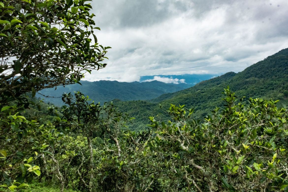 komaen_the_laos_montagnes_theires_jmbrun_gret