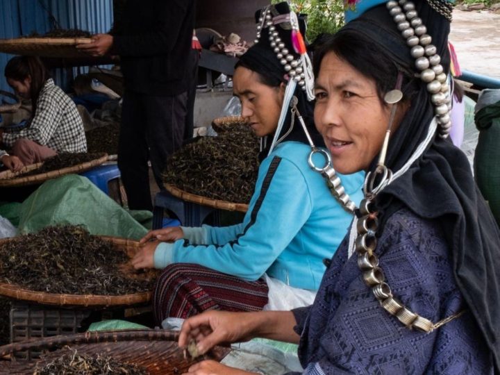 Voyager depuis une tasse : les thés de Komaen (Laos) reconnus par une « Indication Géographique » et primés par l’AVPA